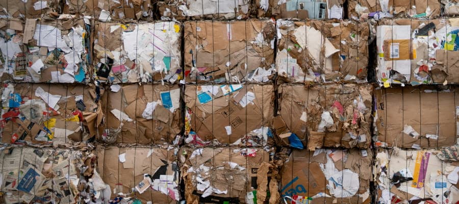 From Cable Compliance Headaches to What Waste Code: The Founder Story